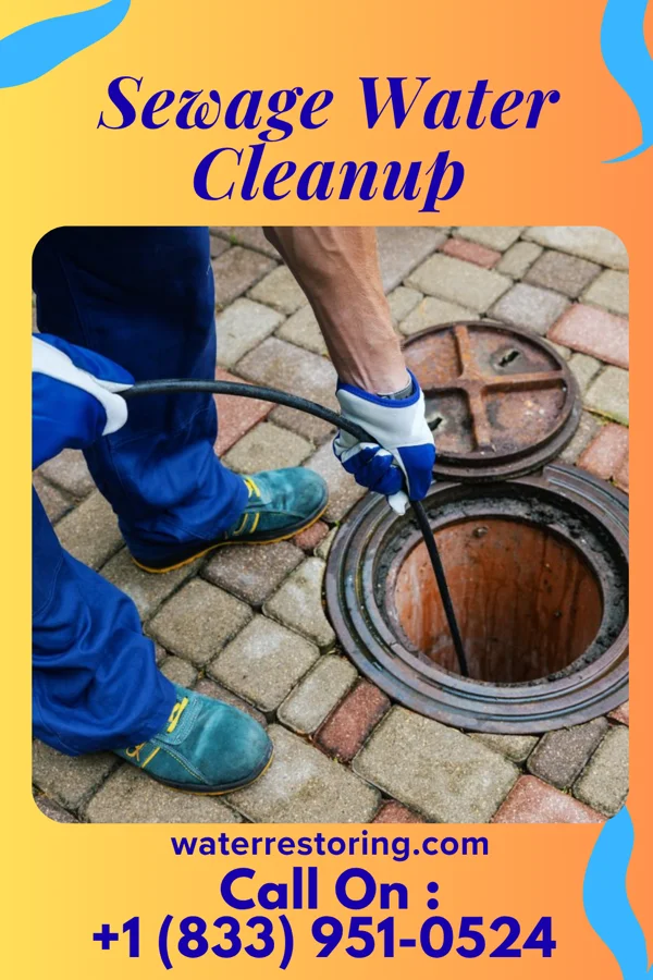 Sewage Water Cleanup in Rock Ridge, CT